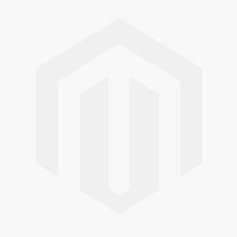 microsetlogo